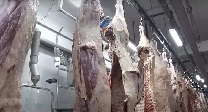 BRASIL ELEVA RECEITA COM EXPORTAÇÃO DE CARNES